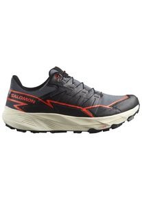 Salomon Thundercross GTX Trail running shoes Men (46, grey)