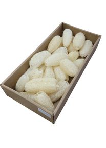 Luffa komkommer ca. 7-12 cm lang 20 st. Natuurlijk