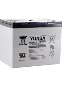 Yuasa REC80-12 Bleiakku Blei-Vlies M6-Schraubanschluss 12V 80Ah