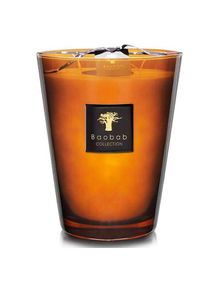 Baobab COLLECTION Baobab - Duftkerze - Cuir de Russie Max 10