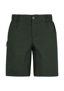 Stoic Womens Hemp53 ValenSt Shorts Short Dames (40 |olijfgroen)