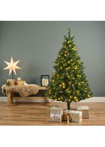 Pier Import - Sapin de Noël illuminé Canada H180 cm