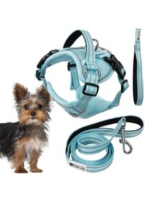 REA - laisse et harnais pour chien PJ-050 blue xs