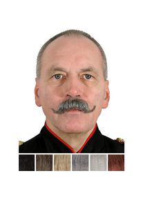 Wilhelm Moustache professionnelle en poils véritables