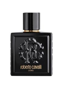 Roberto Cavalli Uomo Eau de Toilette Spray Herenparfum Heren 100 ml