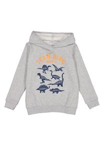 lamino Hoodie grijs - 72% | Maat: 146 |