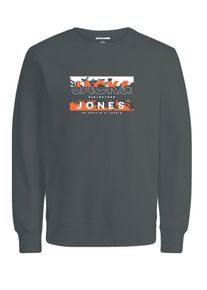 Jack & Jones JACK & JONES Junior Sweatshirt grijs - 37% | Maat: 176 |
