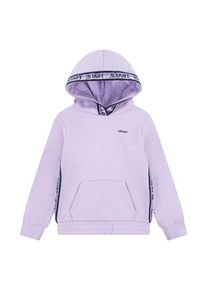 Levi's Kids Hoodie "Meet and greet" paars - 40% | Maat: 158 |