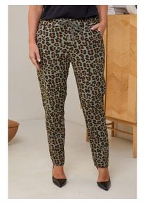 Curvy Lady Broek kaki/bruin - 76% | Maat: 48/50 |