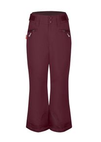 Trollkids Ski-/snowboardbroek "Rauland" paars - 61% | Maat: 104 |