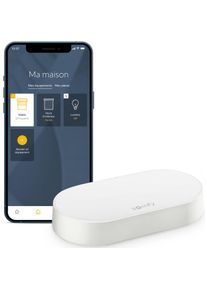 Somfy 1870755 - Kit de connectivité - Pilotez les moteurs et l'éclairage par smartphone - Compatible moteurs io & rts - Contrôle à la voix via l'Assistant