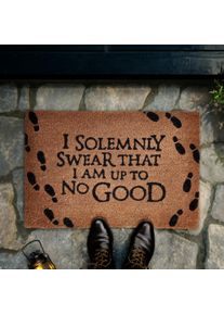 Harry Potter - Up To No Good Tappetino per piedi