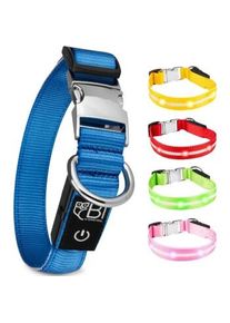 Petsation Leuchthalsband Hundehalsband blau S