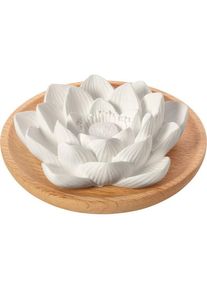 Primavera Fragrance carrier Aroma Lotus Flower Stone Scented stones Women