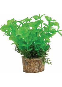 Zolux Decor plante small t1 ass