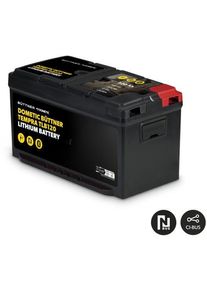 Dometic Büttner Tempra120 Lithium-Batterie Stromversorgung Wohnmobil Camping 120Ah 12V schwarz
