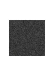 Décoweb - Moquette Stand Expo - Anthracite - Rouleau de 2m x 20m