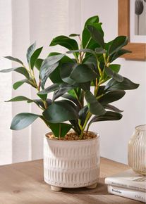 Pianta artificiale con vaso - Verde - Taglia Onesize - bonprix