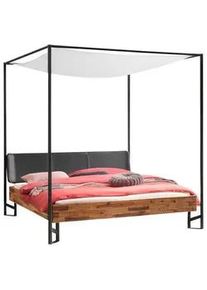 Hasena Himmelbett , Anthrazit, Braun, Akaziefarben , Holz , Akazie , massiv , Höhe ca. 22 cm , 160x200 cm , gepolstertes Kopfteil, in verschiedenen Größen erhältlich , Schlafzimmer, Komplette Schlafzimmer und Serien, Schlafzimmerserien