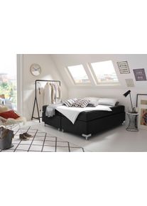 Westfalia Schlafkomfort Boxspringbett »Holland« ohne Kopfteil in grau, Größe Liegefläche B/L: 200 cm x 200 cm