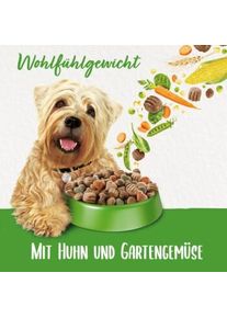 Beneful Purina Wohlfühlgewicht mit Huhn und Gartengemüse 12 kg