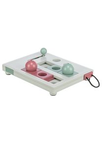 Trixie Kattenspeelgoed Cat Activity Brain Mover.- 1 stuk