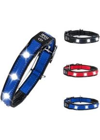 Petsation Leuchthalsband Hundehalsband blau M