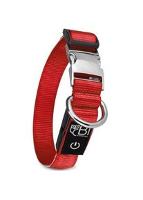 Petsation Leuchthalsband Hundehalsband rot M