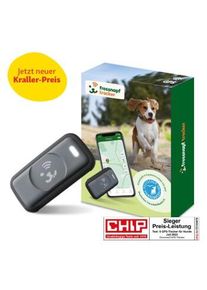 Fressnapf GPS-Tracker für Hunde schwarz/ grau