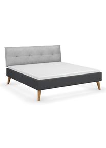 rauch Bett »Skandi« - Tchibo - Grau - Holz