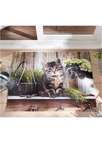 Fußmatte mit Katzenmotiv - braun - Größe 60x80 cm - bonprix