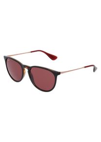 Ray-Ban RB 4171 ERIKA | okulary przeciwsłoneczne | Kształt okularów: panto, tworzywo sztuczne, brązowy