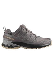 Salomon Women's XA Pro 3D V9 GTX Multisport shoes Women (42 2/3, grey)