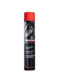 Racing Dynamic Bremsenreiniger 750ml