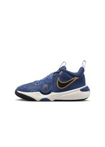 Nike Team Hustle D 11 basketbalschoenen voor kids - Blauw