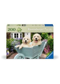 Ravensburger | 200 Piece Jigsaw Puzzles | Golden Retriever, 200pc | From age 9 + Adult Puzzles