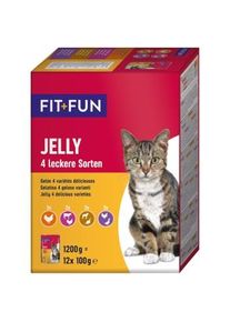 FIT+FUN Adult Jelly 4 Sorten 12x100g