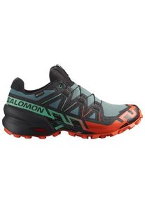 Salomon Speedcross 6 Gore-Tex Trail running shoes Men (9, grey)