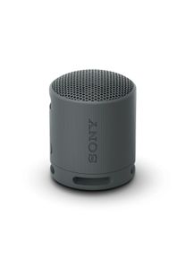Sony SRS-XB100 - Draagbare kabelloze luidspreker - zwart