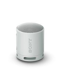 Sony SRS-XB100 - Draagbare kabelloze luidspreker - grijs