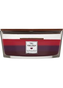 WoodWick Raumdüfte Duftkerzen Sun-Ripened Berries Ellipse Jar 454 g