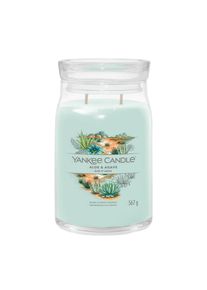 yankee candle 1749343E SIG SVIECKA VELKA ALOE & AGAVE