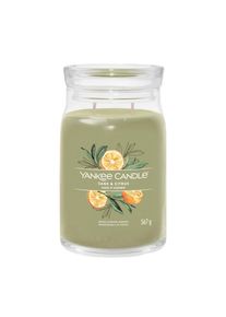 yankee candle 1629961E SIGNATURE SAGE & CITRUS VELKA SVIECKA 567G