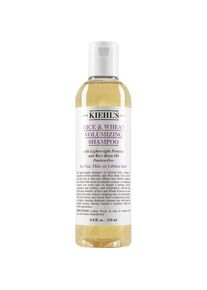 Kiehl's Kiehl's Shampoo Rice & Wheat Volumizing Dames 500 ml