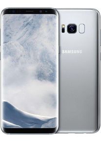 Samsung Galaxy S8+ | 64 GB | Single-SIM | argento