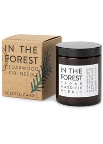 Diederich/Moustakidis Duftkerze Coudre Berlin Cedarwood & Fir Needle