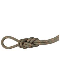 Mammut 9.9 Gym Workhorse Dry Rope Single rope (40 m, brown)