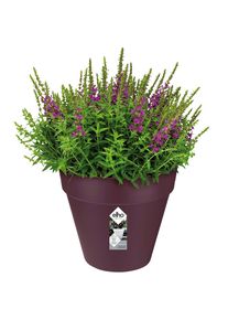 Gardebruk Doniczka Mulberry mat 19x18cm 3L