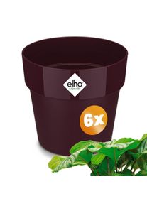 Gardebruk Bloempot set van 6 moerbei 30x27cm 133L