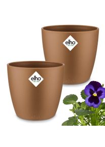 Gardebruk Bloempot Brussel set van 2 fluweel goud 11x10cm 08L